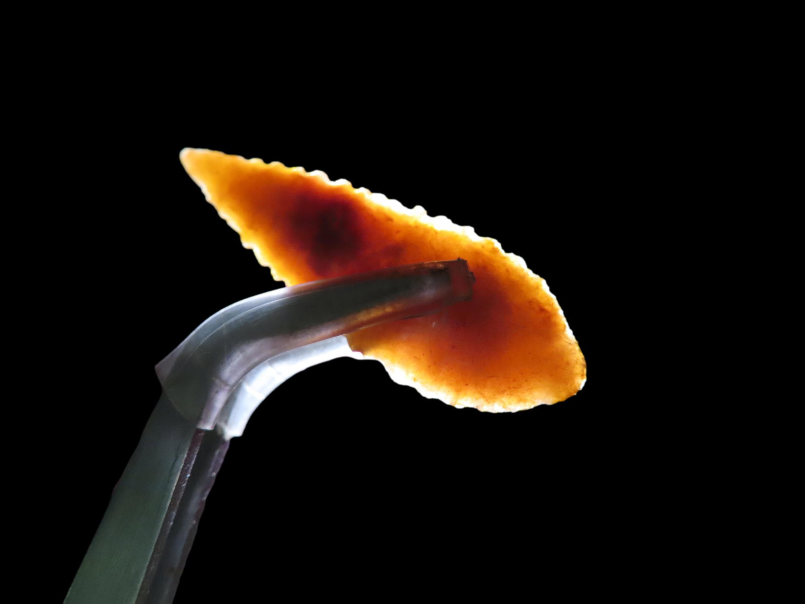 High Grade Neolithic Arrowhead, Western Africa: High Grade Neolithic Arrowhead, Western Africa