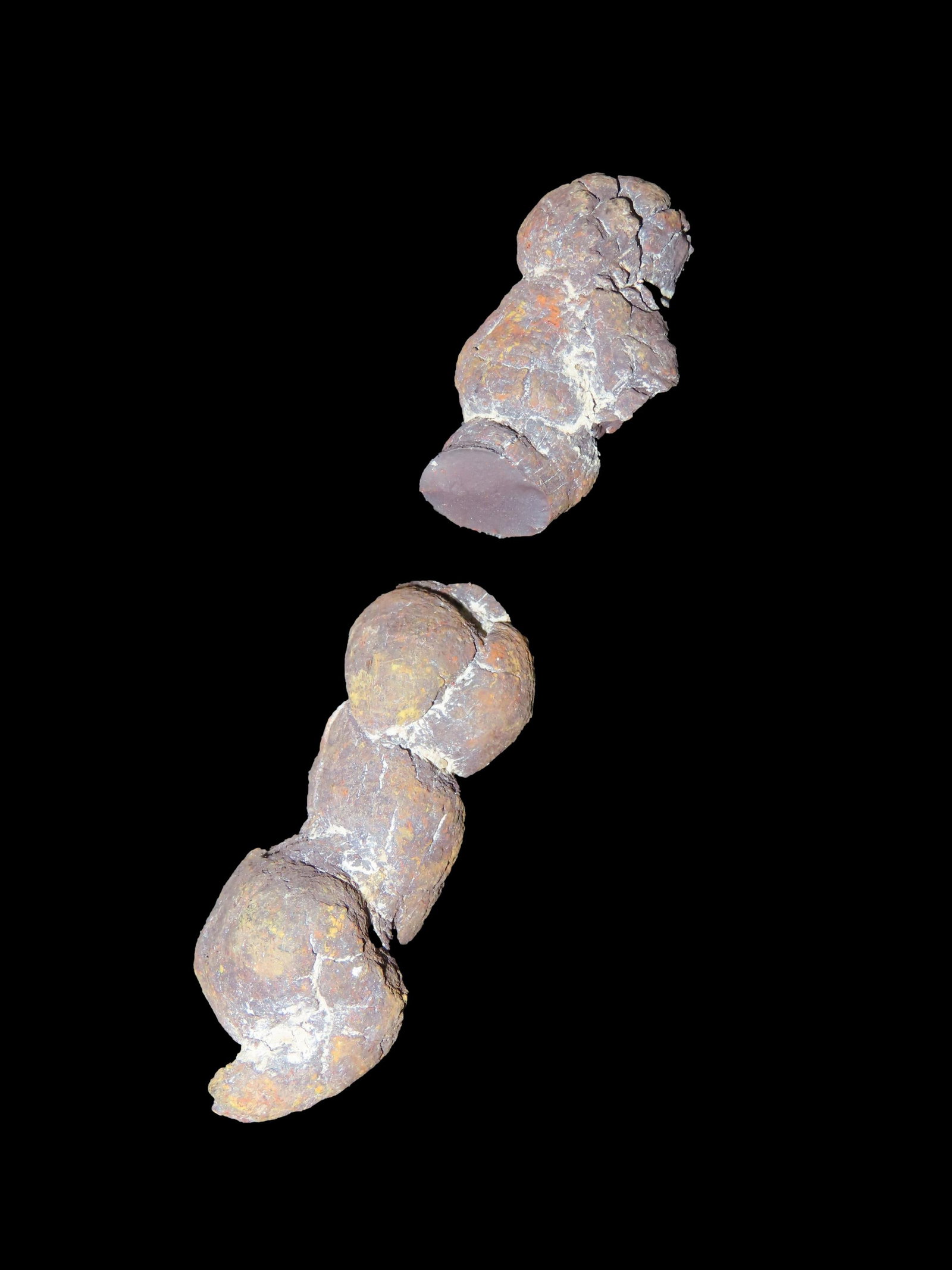 Coprolite, Fossil Dinosaur Poop, 100 Million Years Old, Madagascar: Coprolite, Fossil Dinosaur Poop, 100 Million Years Old, Madagascar