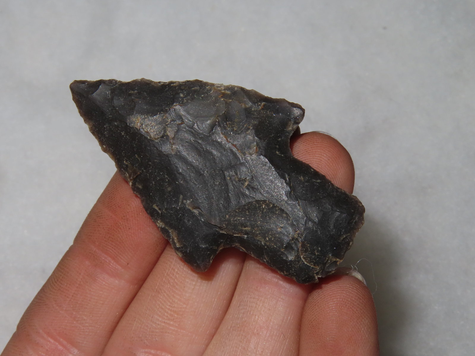 2" Newman, Florida - 2