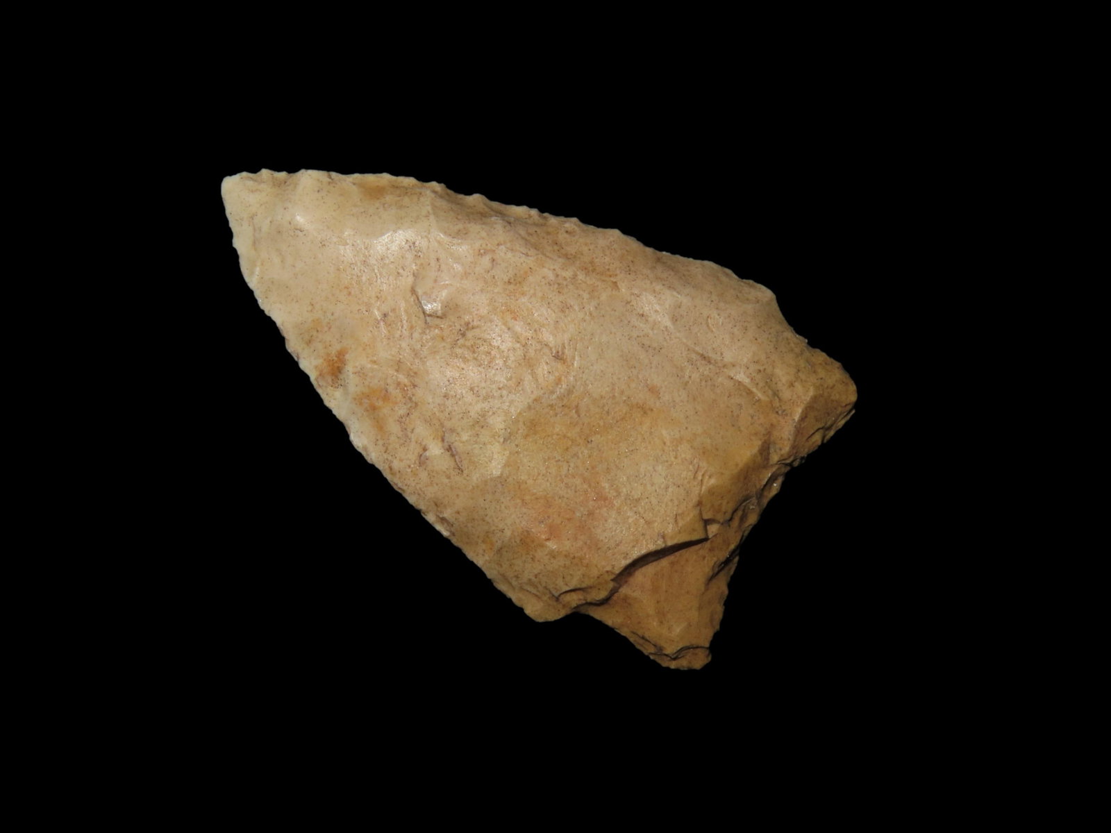 1 3/4" Arredondo, Florida: 1 3/4" Arredondo, Florida