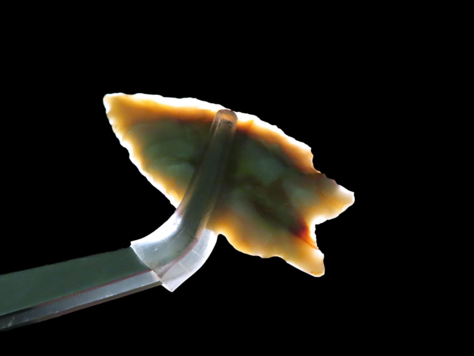 1 3/4" Dalton, Arkansas (1 of 5)