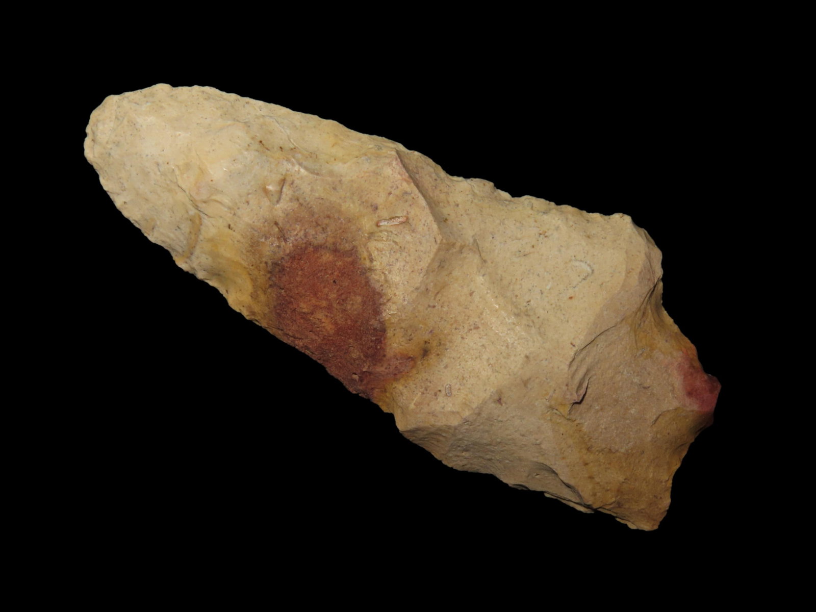 3 3/8" Blade, Gulf Coast, Florida, Ex. Walt McIntyre Collection: 3 3/8" Blade, Gulf Coast, Florida, Ex. Walt McIntyre Collection