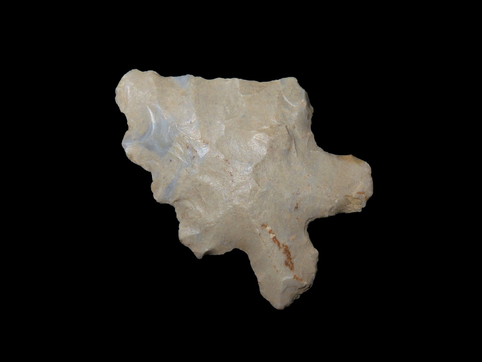 1 1/2" McCorkle, Tennessee, Ex. Walt McIntyre Collection: 1 1/2" McCorkle, Tennessee, Ex. Walt McIntyre Collection