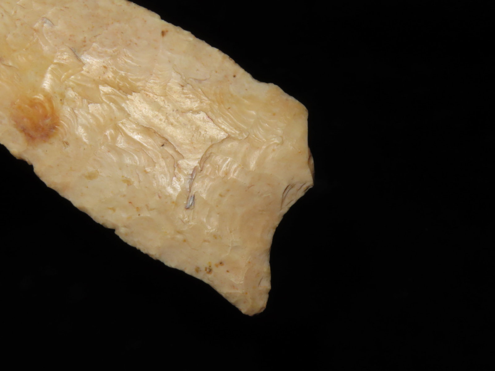 5 7/8" Kaolin Sloan Dalton, S. Illinois, Motley COA. Incredible Parallel Flaking on both sides. - 9