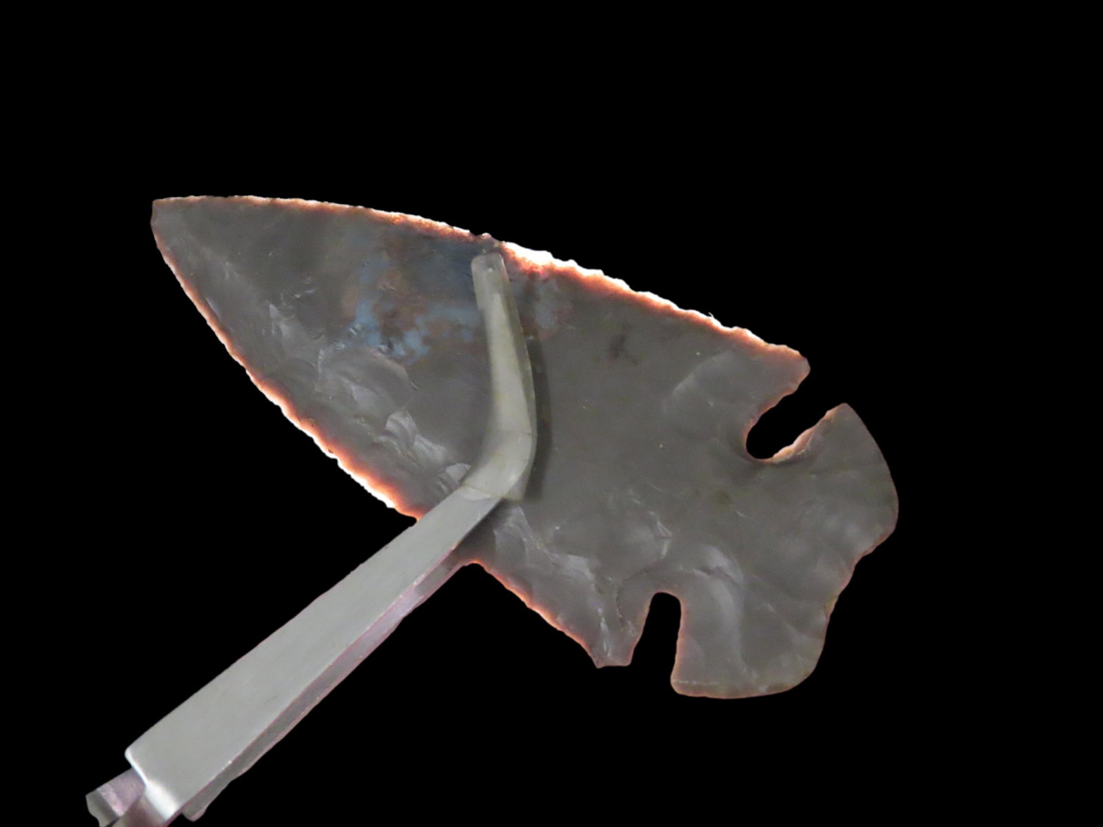 Phenomenal 3 7/16" Dovetail , Daviess Co. Kentucky. Dickey COA. Great Classic example out of a well: Phenomenal 3 7/16" Dovetail , Daviess Co. Kentucky. Dickey COA. Great Classic example out of a well patinated Hornstone with a nice blue quartz inclusion. Amazing High Grade example!