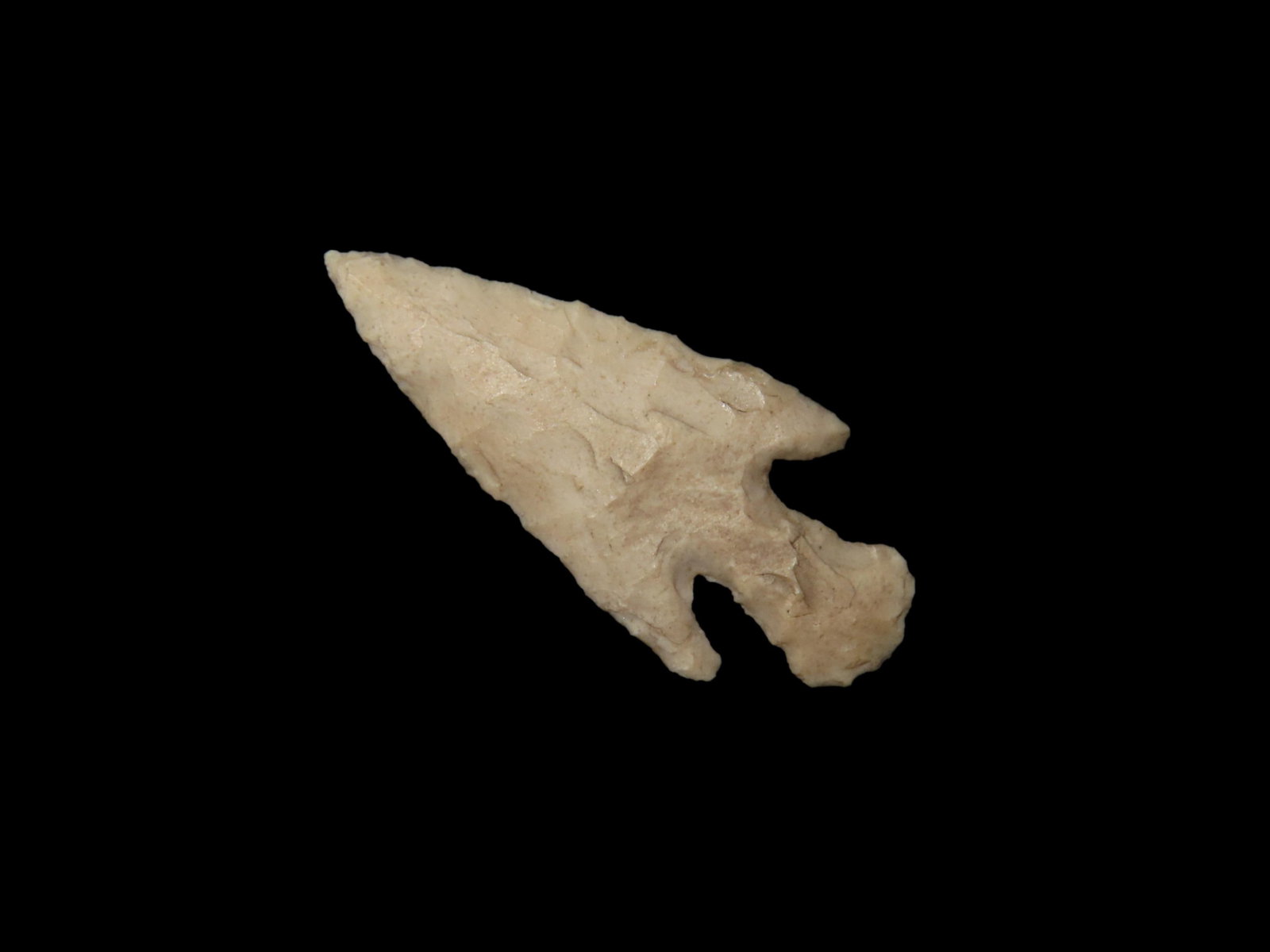 Amazing Scallorn Cahokia Bird point, St. Clair Co. Illinois. Finely flaked High Grade Example,: Amazing Scallorn Cahokia Bird point, St. Clair Co. Illinois. Finely flaked High Grade Example, Highly Translucent and micro serrated. A real gem!