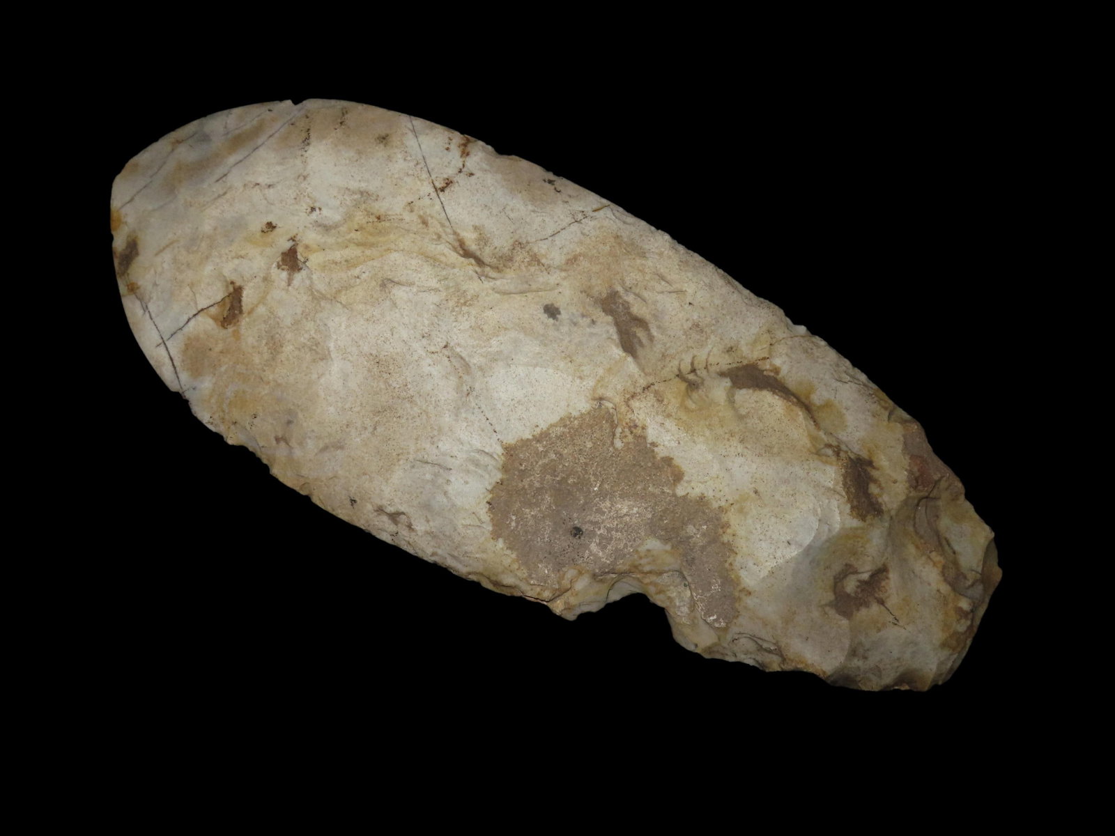 Amazing 11 1/2" Cahokia Flint Spade, Madison Co. Illinois. Motley COA. Amazing form and great: Amazing 11 1/2" Cahokia Flint Spade, Madison Co. Illinois. Motley COA. Amazing form and great polish. Nice colorful piece of well patinated mill creek chert. Great use polish and no brainer patina. Ha