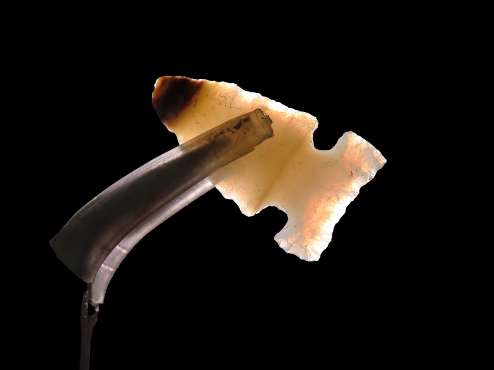 Beautiful Agate Sidenotch Gem Point found in Weld Co. Colorado. Highly Translucent Example. Nice: Beautiful Agate Sidenotch Gem Point found in Weld Co. Colorado. Highly Translucent Example. Nice maroon colored tip.