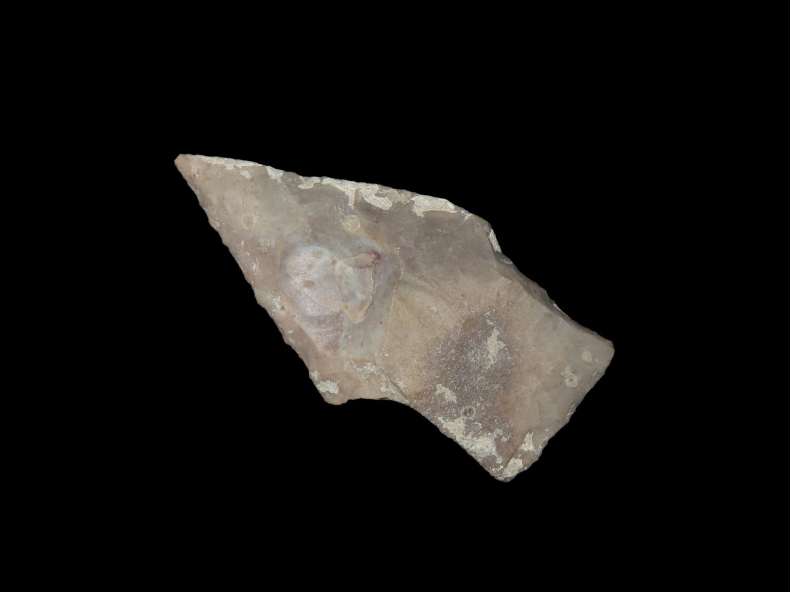 Nice 2 3/8" Nolan found in Travis County Texas, Indian Artifact, Arrowhead.: Nice 2 3/8" Nolan found in Travis County Texas, Indian Artifact, Arrowhead.