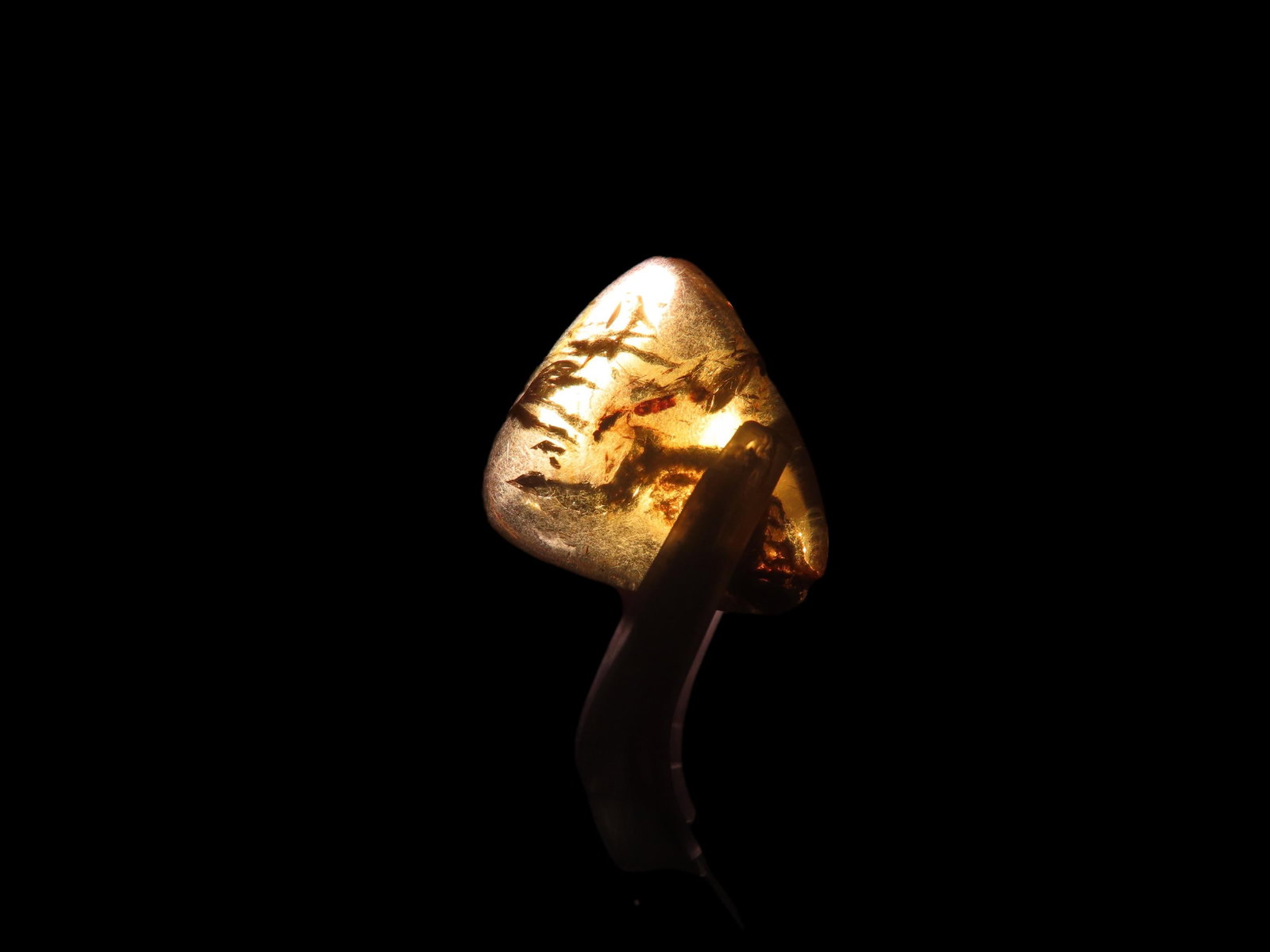 Fossil Amber with Very Distinct Encased Wasp. Nice Large Specimen with Easily Visible Bug, small: Fossil Amber with Very Distinct Encased Wasp. Nice Large Specimen with Easily Visible Bug, small flying wasp insect. 100 Million Years Old, from the Hukawng Valley, Burma-Myanmar. Burnite. Burmese Amb