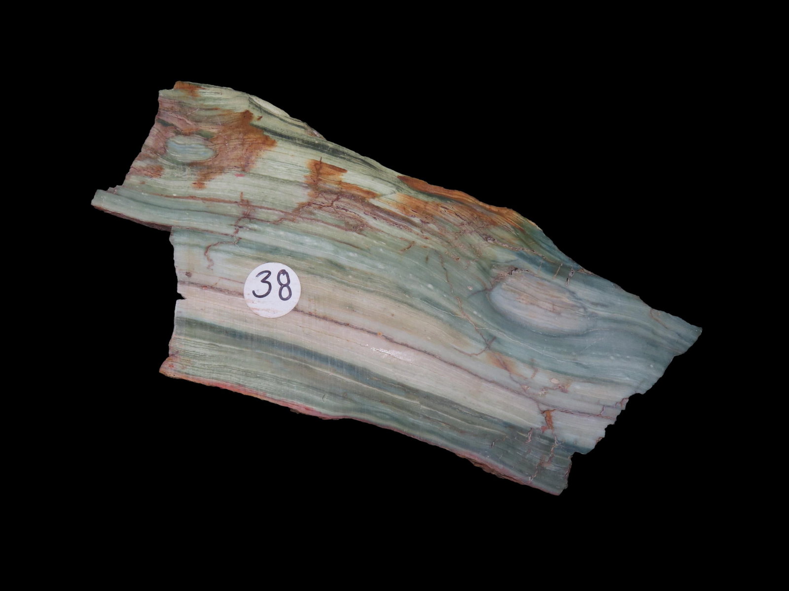 Rare Green & Blue Petrified Wood Slab, 8" long, Oregon Bogwood, Vibrant Greens & Blues mixed with: Rare Green & Blue Petrified Wood Slab, 8" long, Oregon Bogwood, Vibrant Greens & Blues mixed with Tan & Brown with hints of Red & White. Much Harder to Find Color Pattern