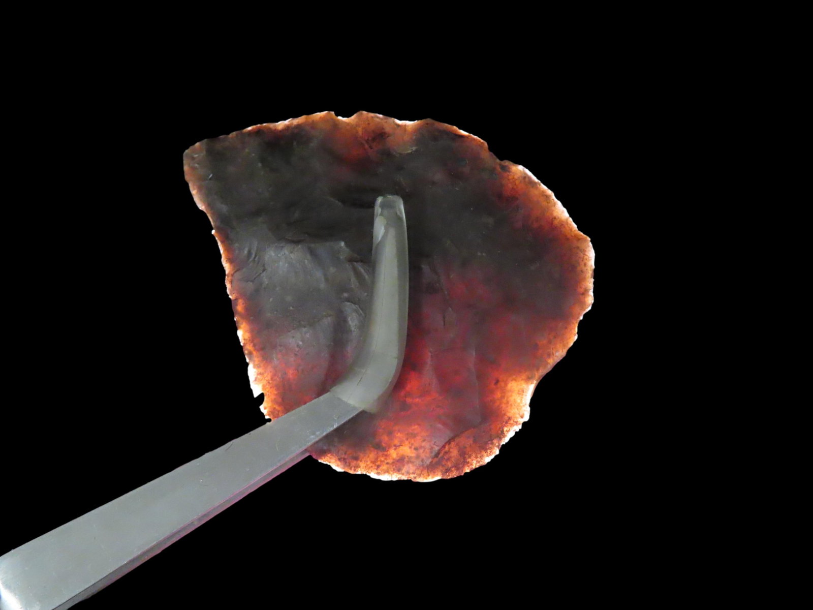 Amazing translucent Covington Blade found in Bandera County Texas. Well flaked example. 2 1/8" long.: Amazing translucent Covington Blade found in Bandera County Texas. Well flaked example. 2 1/8" long. Nicely Patianted.