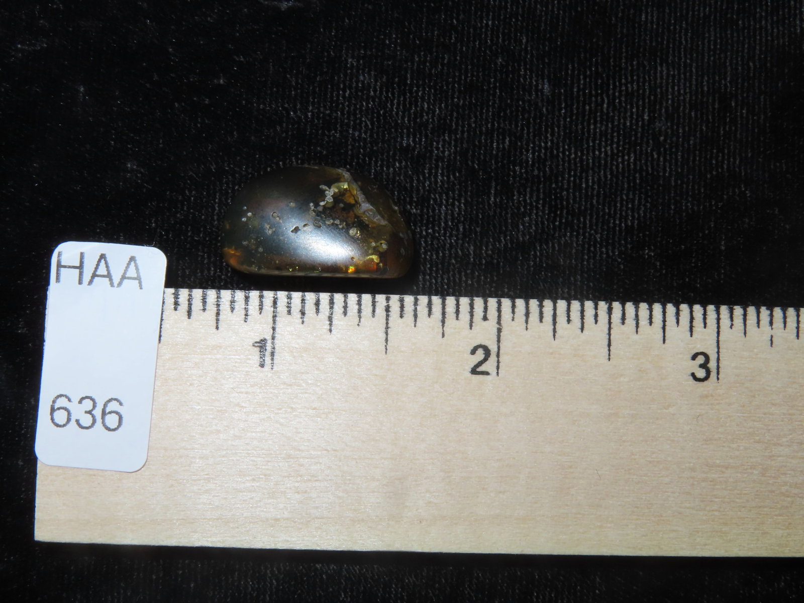 Incredible Fossil Amber with Multiple Distinct Encased Bugs / Insecsts.One bug looks like the Devil, - 6