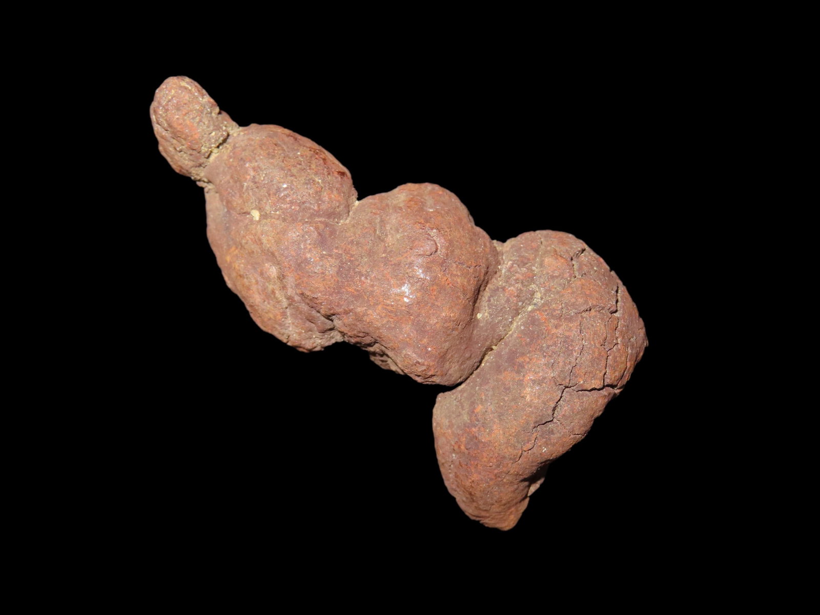 Large Dinosaur Poop Fossil, Coprolite, Appr. 100 Million Years old Fossilized Dino Dung, Great Well (1 of 5)