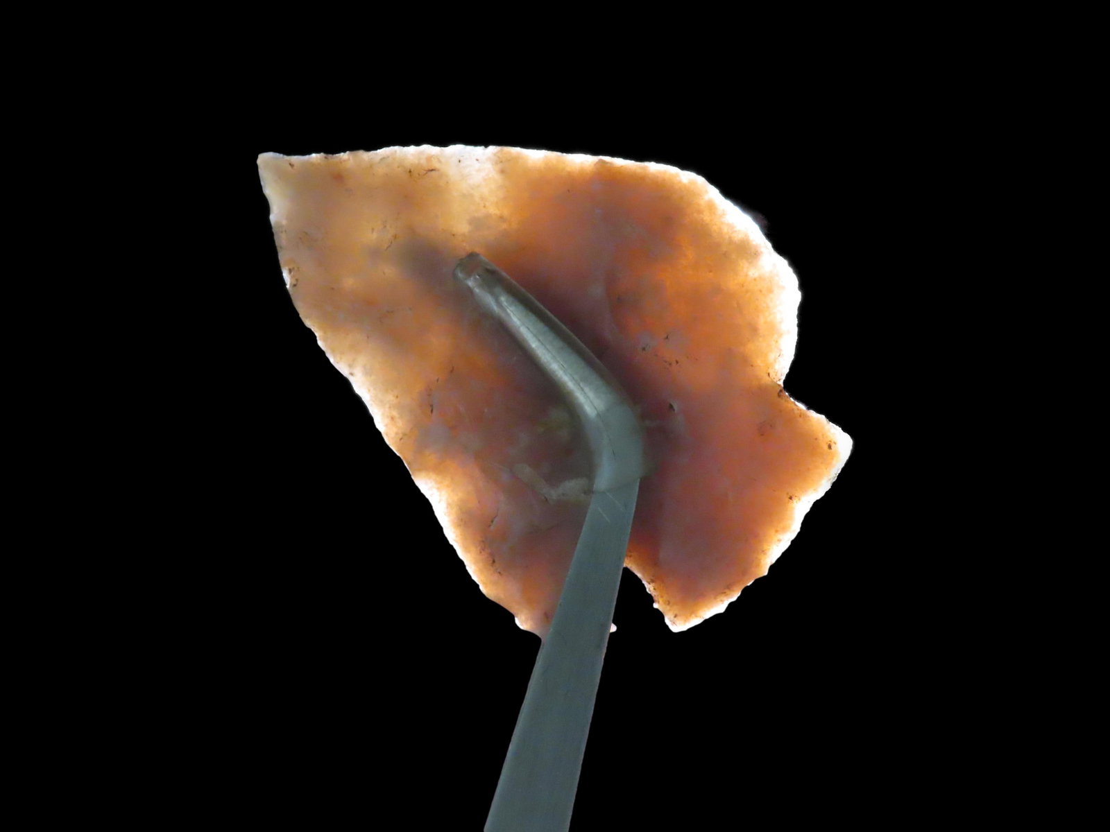 Highly Translucent Marshall found in Bandera County Texas. Indian Arrowhead, Artifact.: Highly Translucent Marshall found in Bandera County Texas. Indian Arrowhead, Artifact.