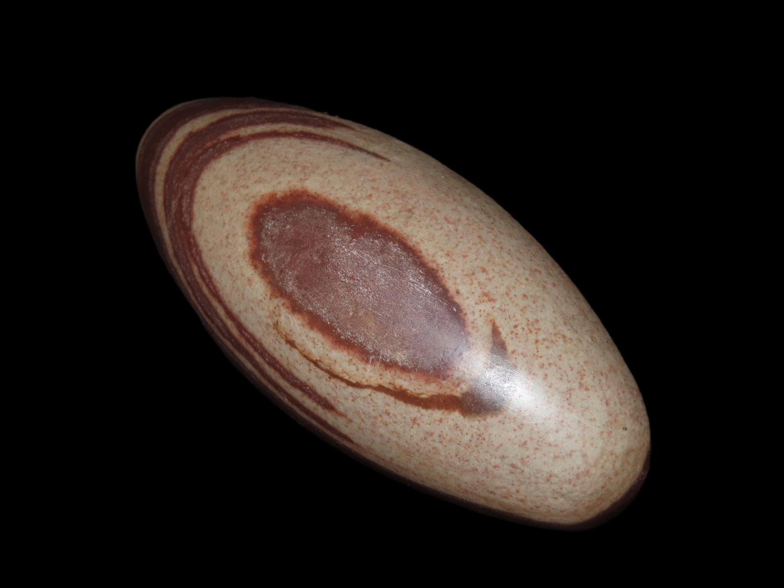 Huge Colorful 7" Long Shiva Lingam Stone, Narmada River, India. Amazing Color!: Huge Colorful 7" Long Shiva Lingam Stone, Narmada River, India. Amazing Color!