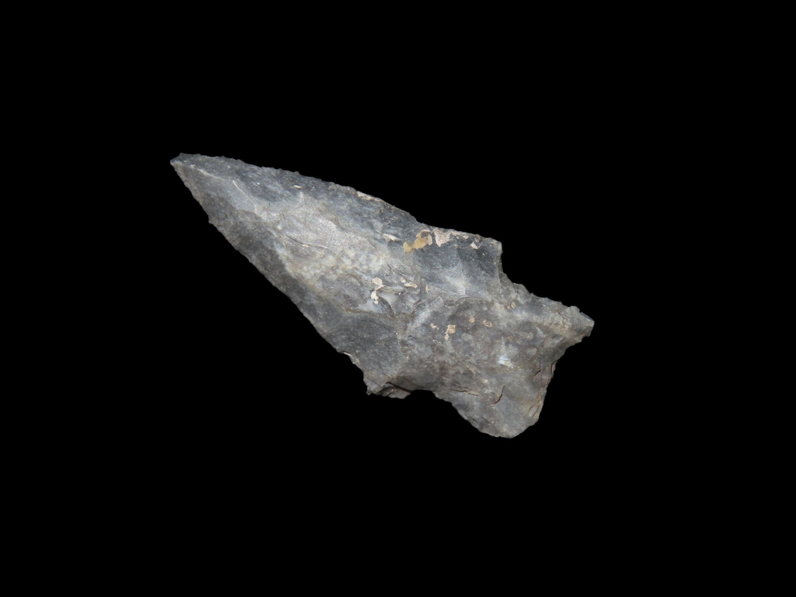 Nice Classic Darl found in Coryell County Texas. Indian Arrowhead, Artifact.: Nice Classic Darl found in Coryell County Texas. Indian Arrowhead, Artifact.