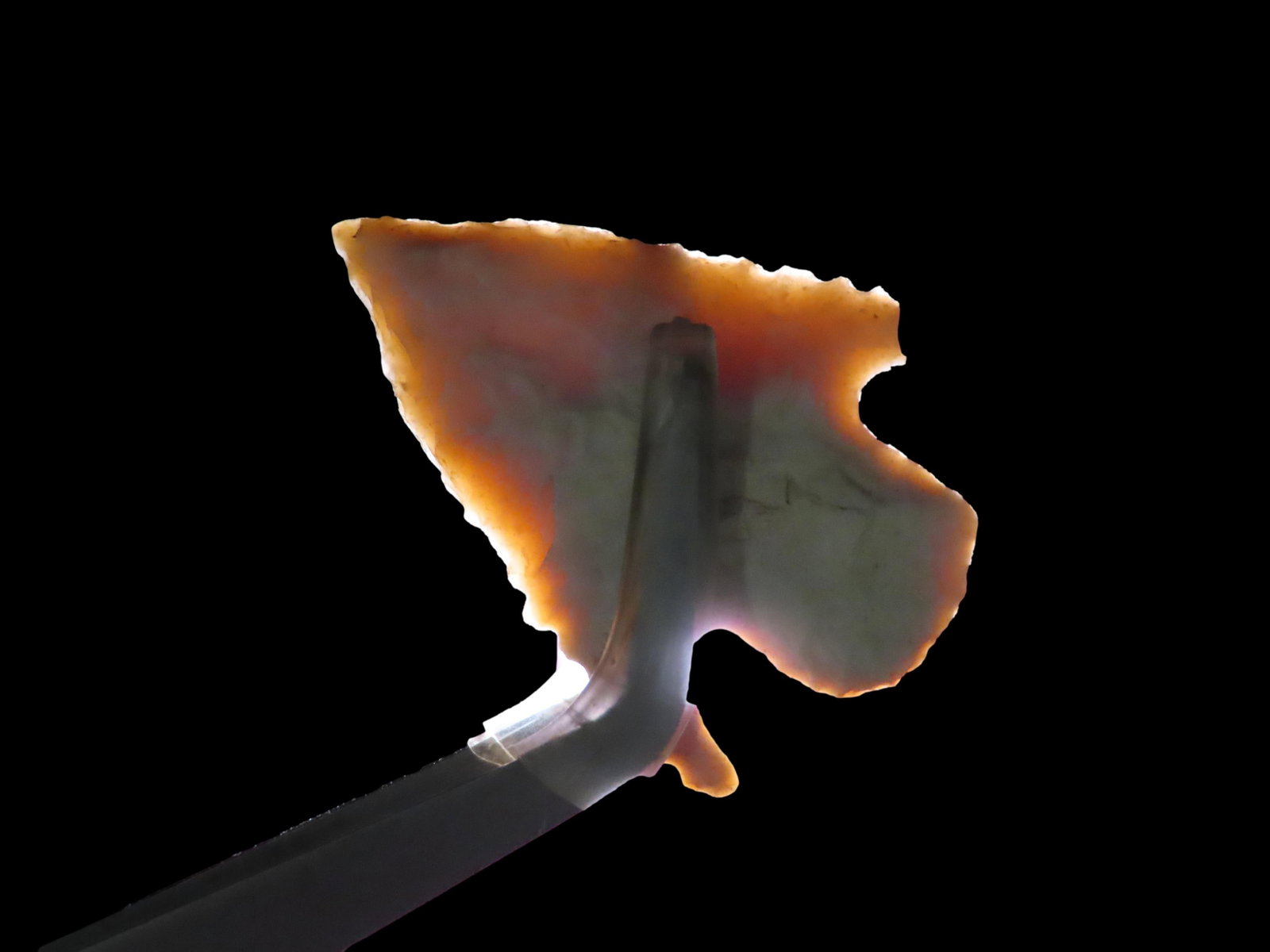 Wonderful rare Shumla found in New Mexico. Hard to find point type! Nicely Serrated, thin and well: Wonderful rare Shumla found in New Mexico. Hard to find point type! Nicely Serrated, thin and well flaked! Indian Arrowhead, Artifact.