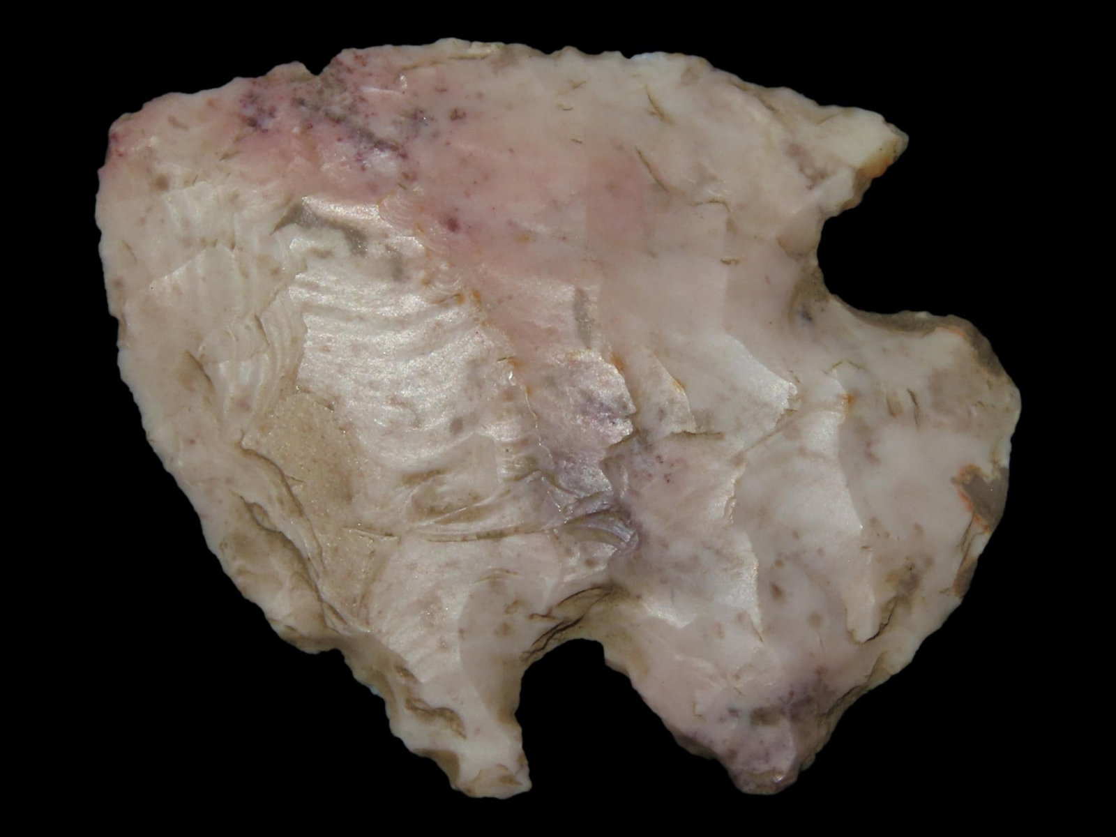 1 3/4" Snyder, Sumner Co., Tennessee, Ex. Walt McIntire (1 of 6)