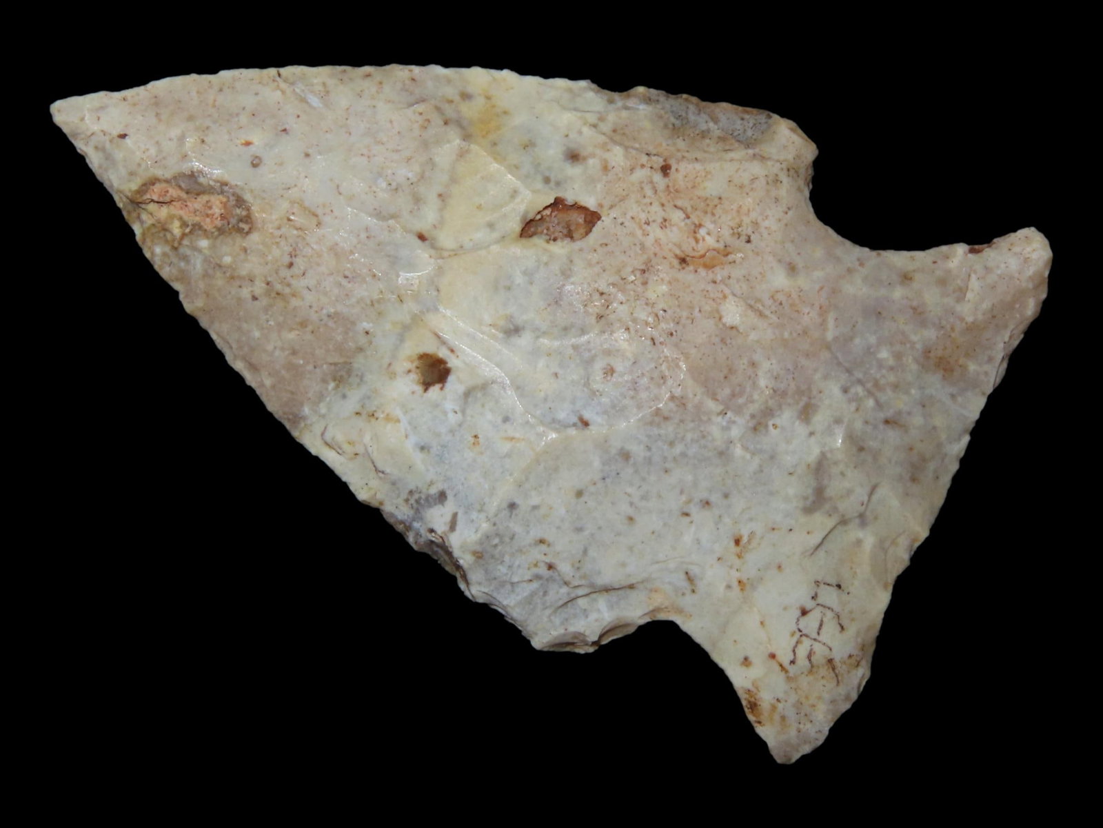 2" Kirk, Daviess Co., Kentucky, Ex. Walt McIntire (1 of 6)