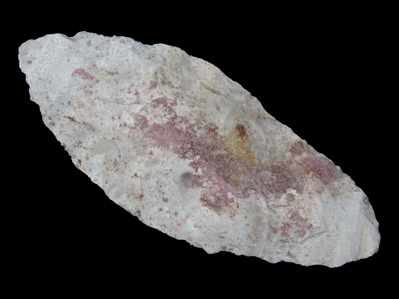 2 3/8" Early Archaic, Lancelot Point, Central Oklahoma (1 of 6)