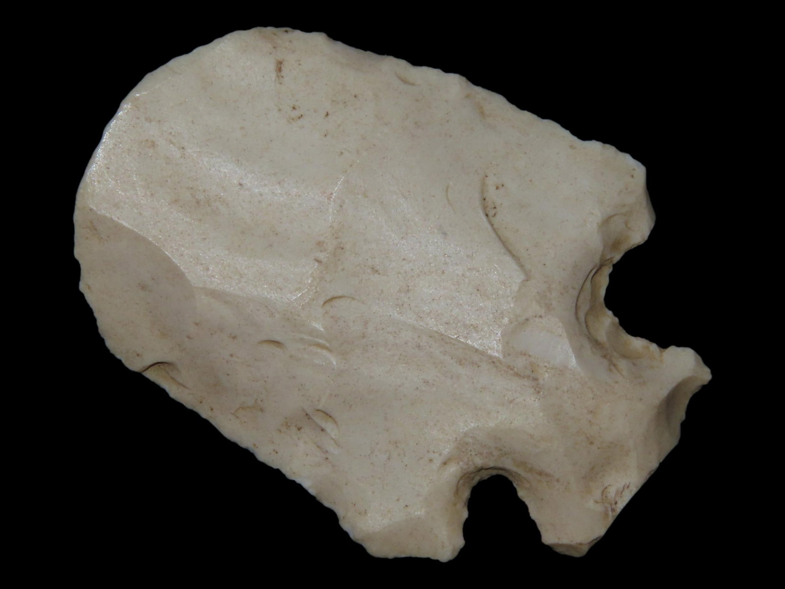 1 5/8" Blunt/Stunner, Henderson Co., Kentucky, Ex. Walt McIntire (1 of 6)