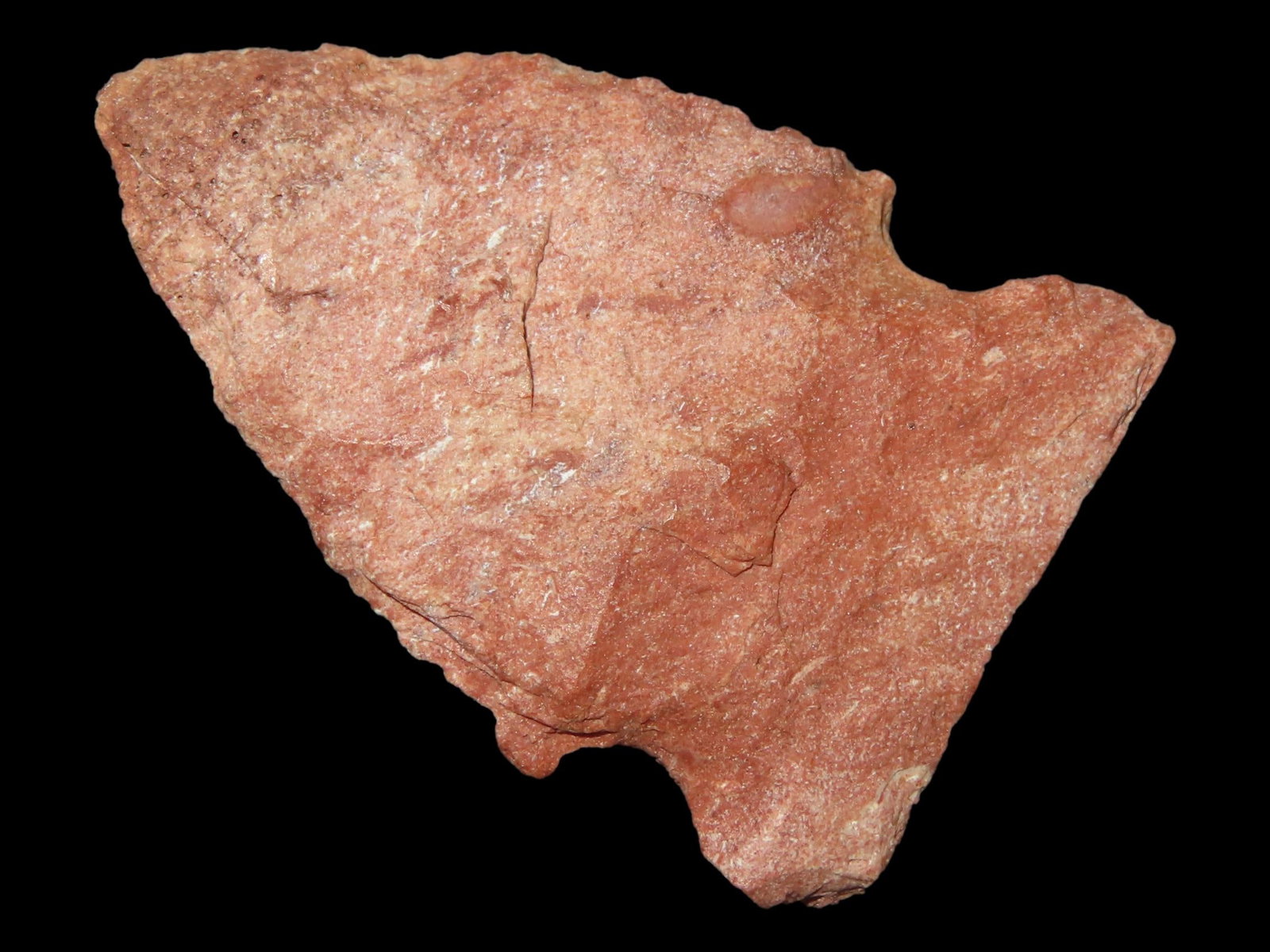 1 1/2" Big Sandy, Daviess Co., Kentucky (1 of 6)