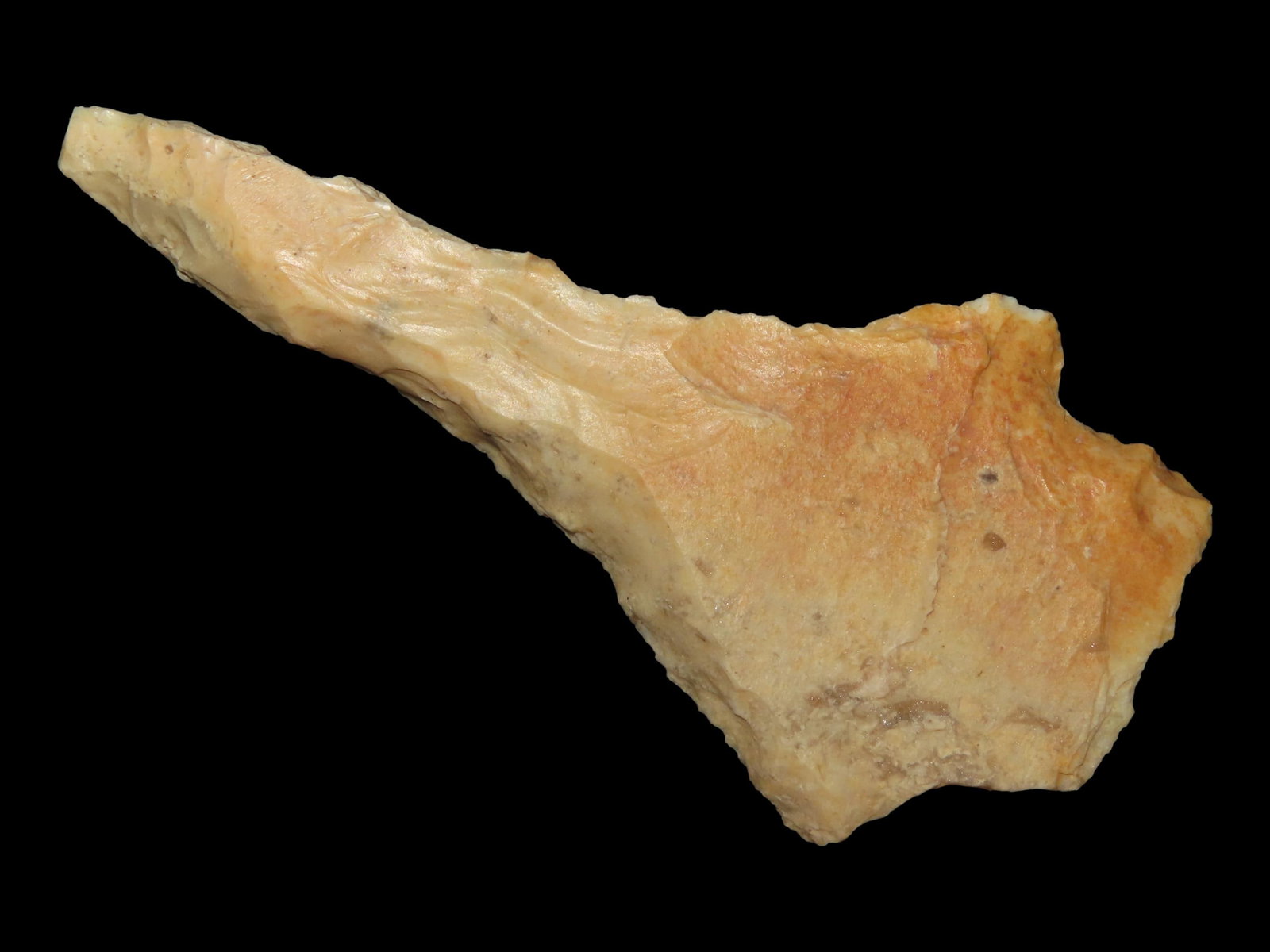 Early Archaic, Rice Lobed, Heavily Beveled, St. Charles Co., Missouri: Early Archaic, Rice Lobed, Heavily Beveled, St. Charles Co., Missouri