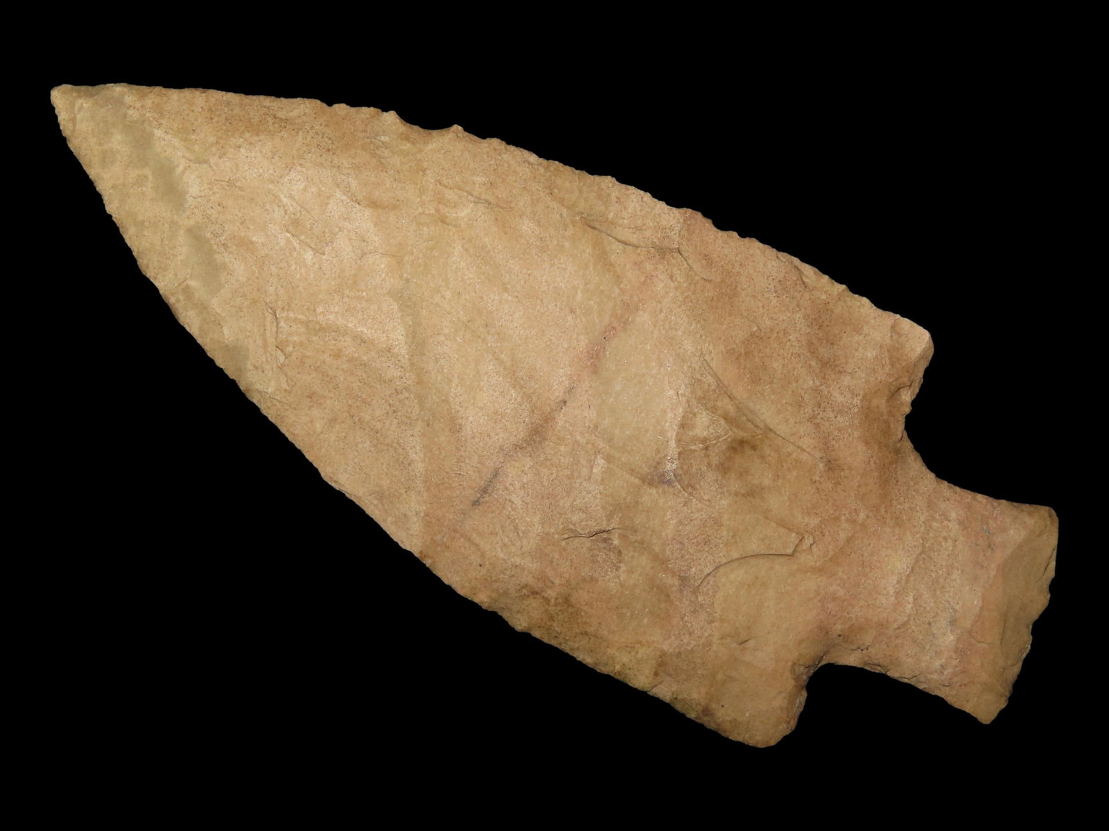 4 1/4" x 1 3/4" McIntire, Opaque Tan Chert, Colbert Co., Alabama, Stermer COA (1 of 13)
