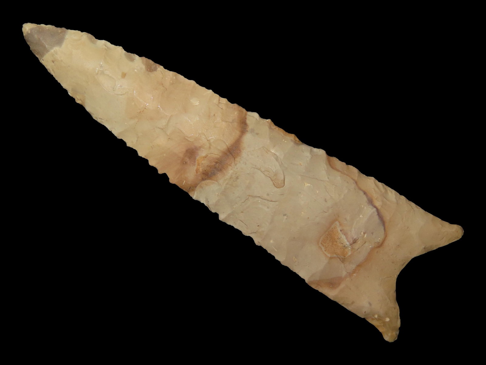 4" Dalton, Chert, Henry Co., Missouri (1 of 12)