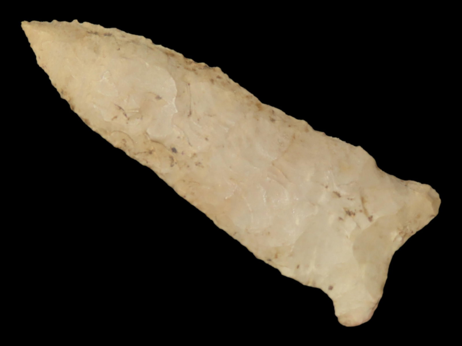 2 13/16" x 1" Dalton, Buffalo River Chert, Tennessee, Dickey COA (1 of 13)