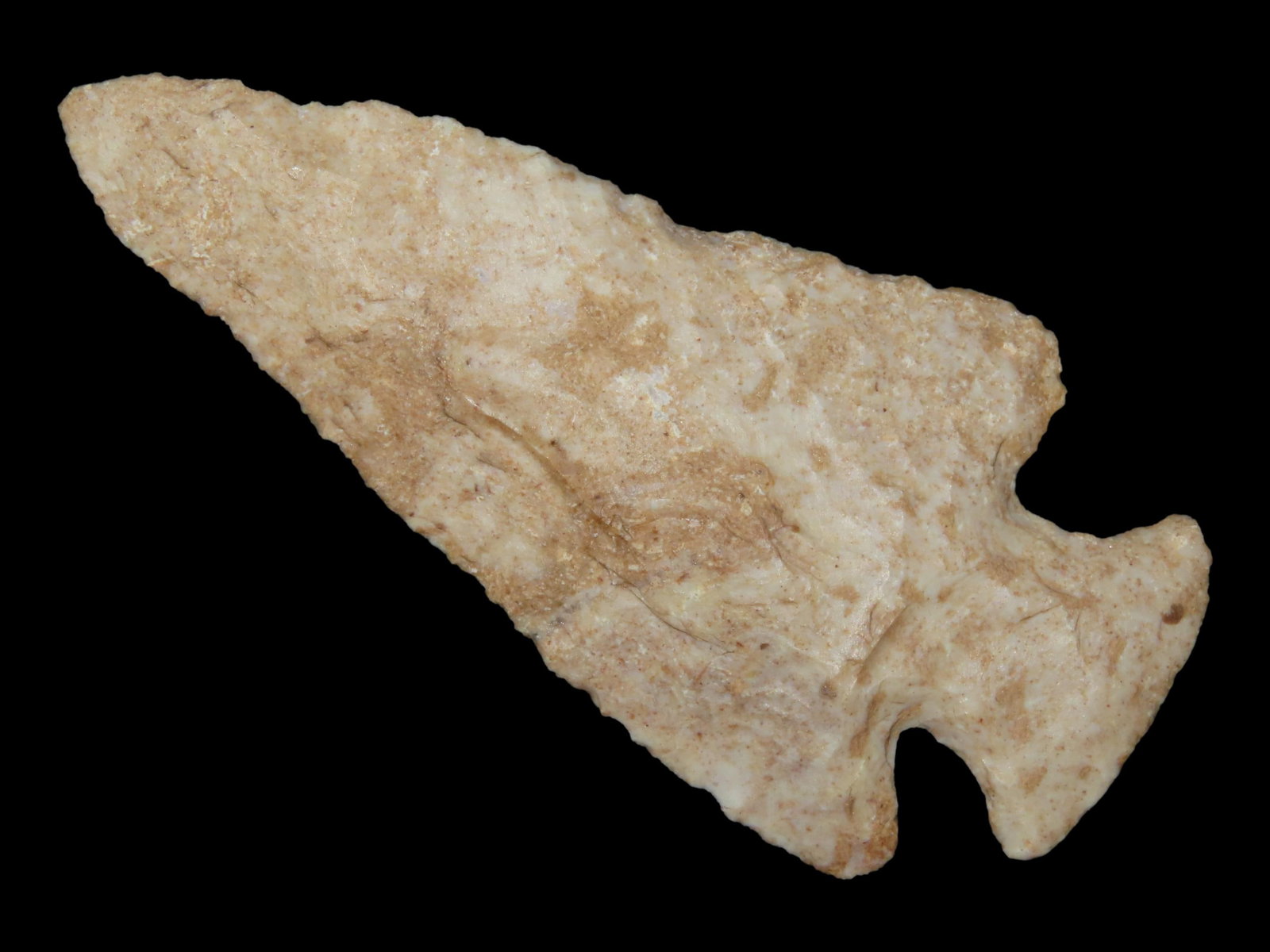 3 5/16" x 1 9/16" Hardin, Fort Payne Chert, Kentucky, Jackson COA (1 of 13)