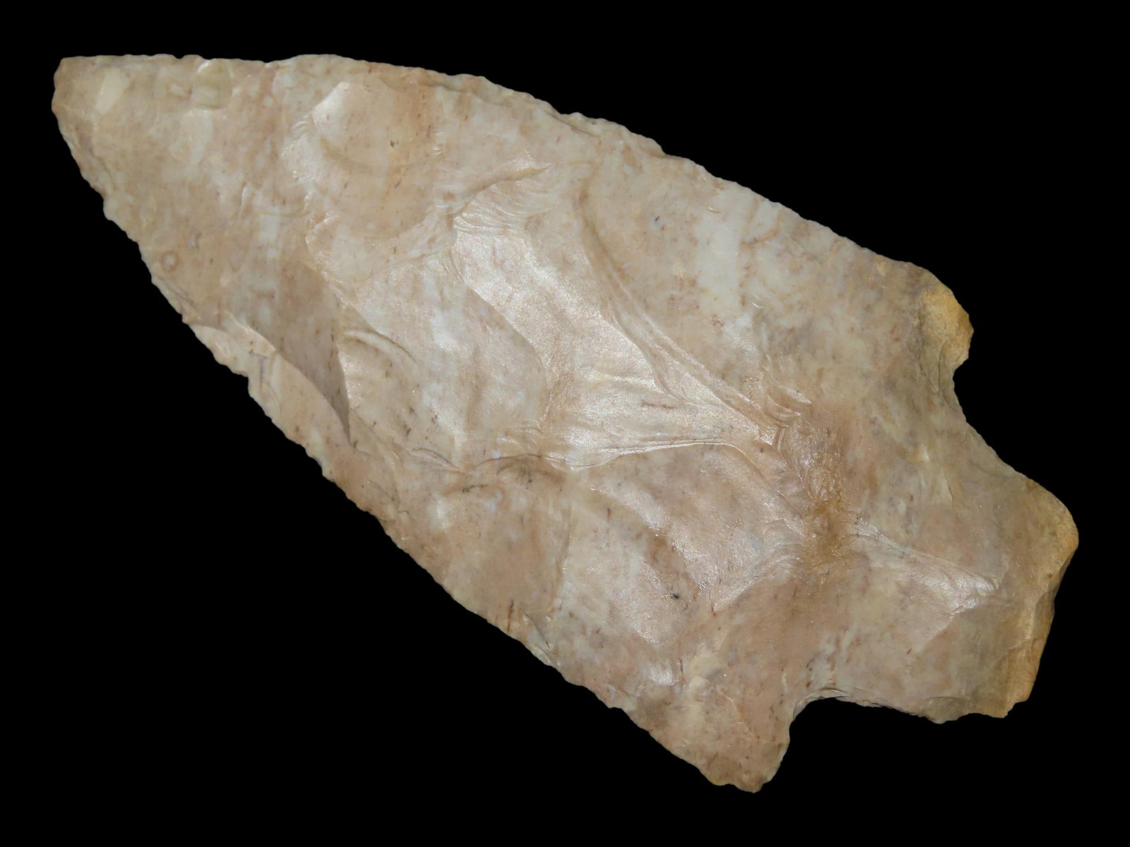 3 3/4" x 1 3/4" Pickwick, Fort Payne Chert, Tennessee, Davis COA (1 of 13)