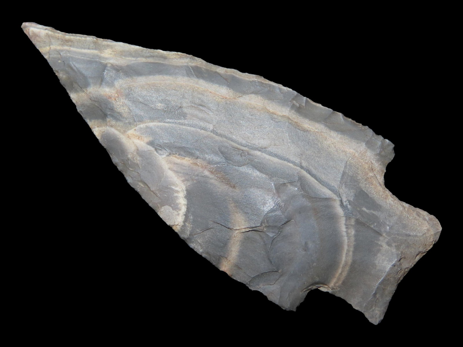 2 15/16" x 1 1/4" Delhi, Mozarkite Chert, Cooper Co., Missouri, Keele COA (1 of 13)
