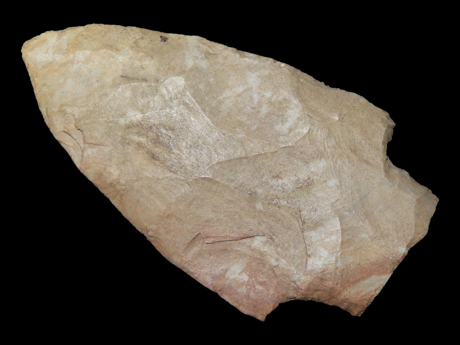 2 13/16" x 1 9/16" Adena, Fort Payne Chert, Kentucky, Davis COA (1 of 13)