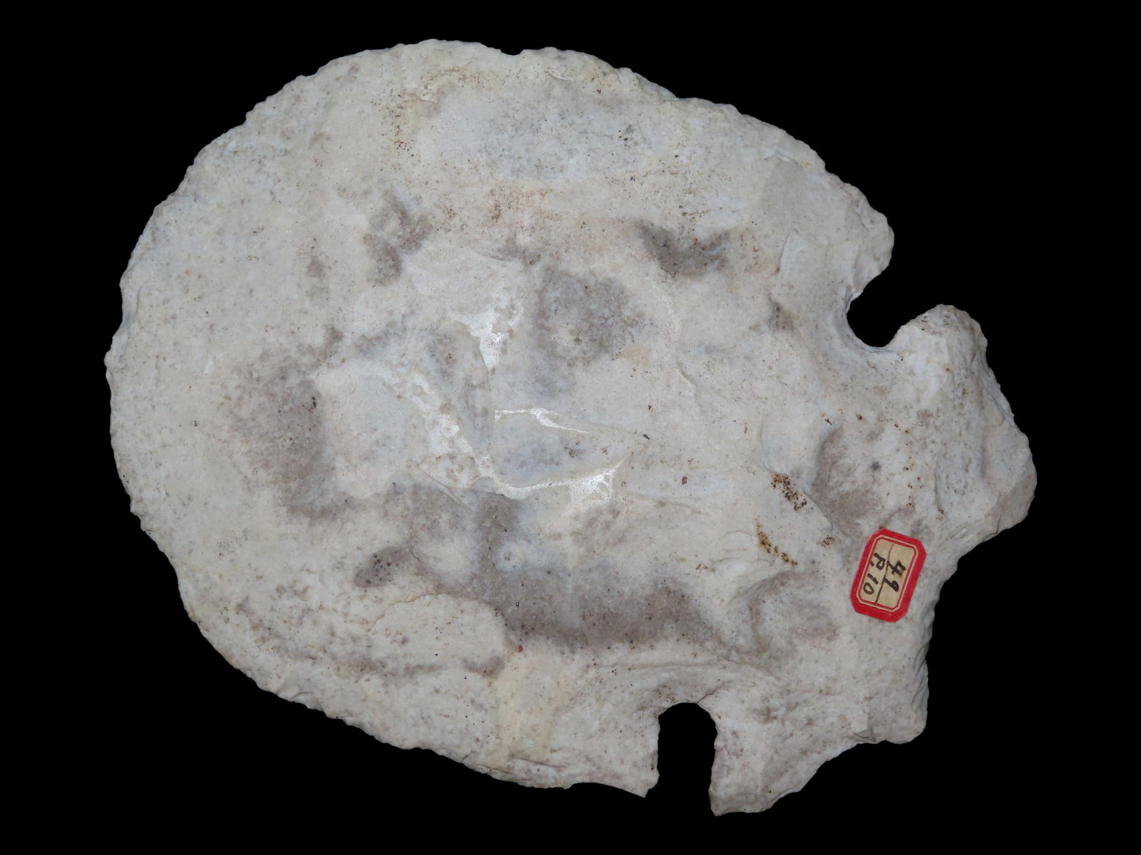 4 1/2" x 6" Notched Hoe, Mill Creek Chert, Boyle Co., Kentucky, Motley & Leithoff COA, See (1 of 17)