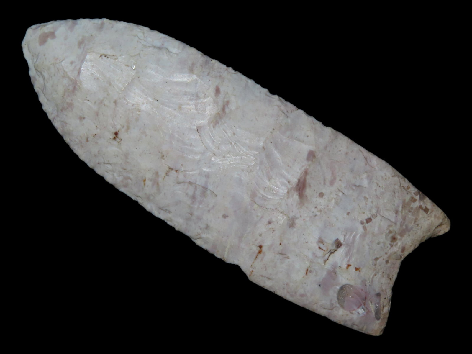 3 5/16" x 1 3/16" Upper Valley Dalton, Burlington Chert, Illinois, Dickey COA: 3 5/16" x 1 3/16" Upper Valley Dalton, Burlington Chert, Illinois, Dickey COA