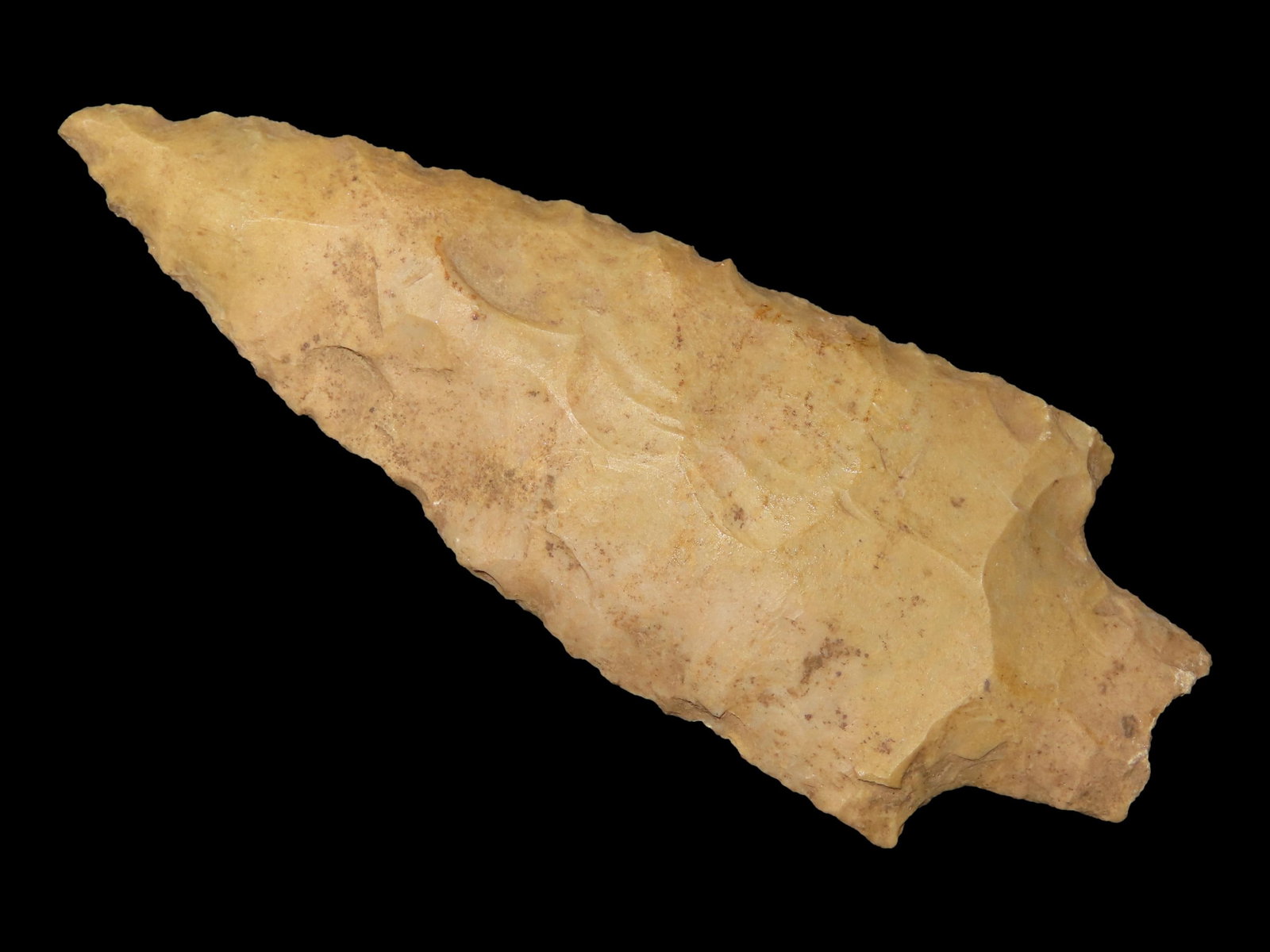 3 1/2" x 1 5/16" Adena Narrow Stem, Fort Payne Chert, East Tennessee, Davis COA (1 of 13)