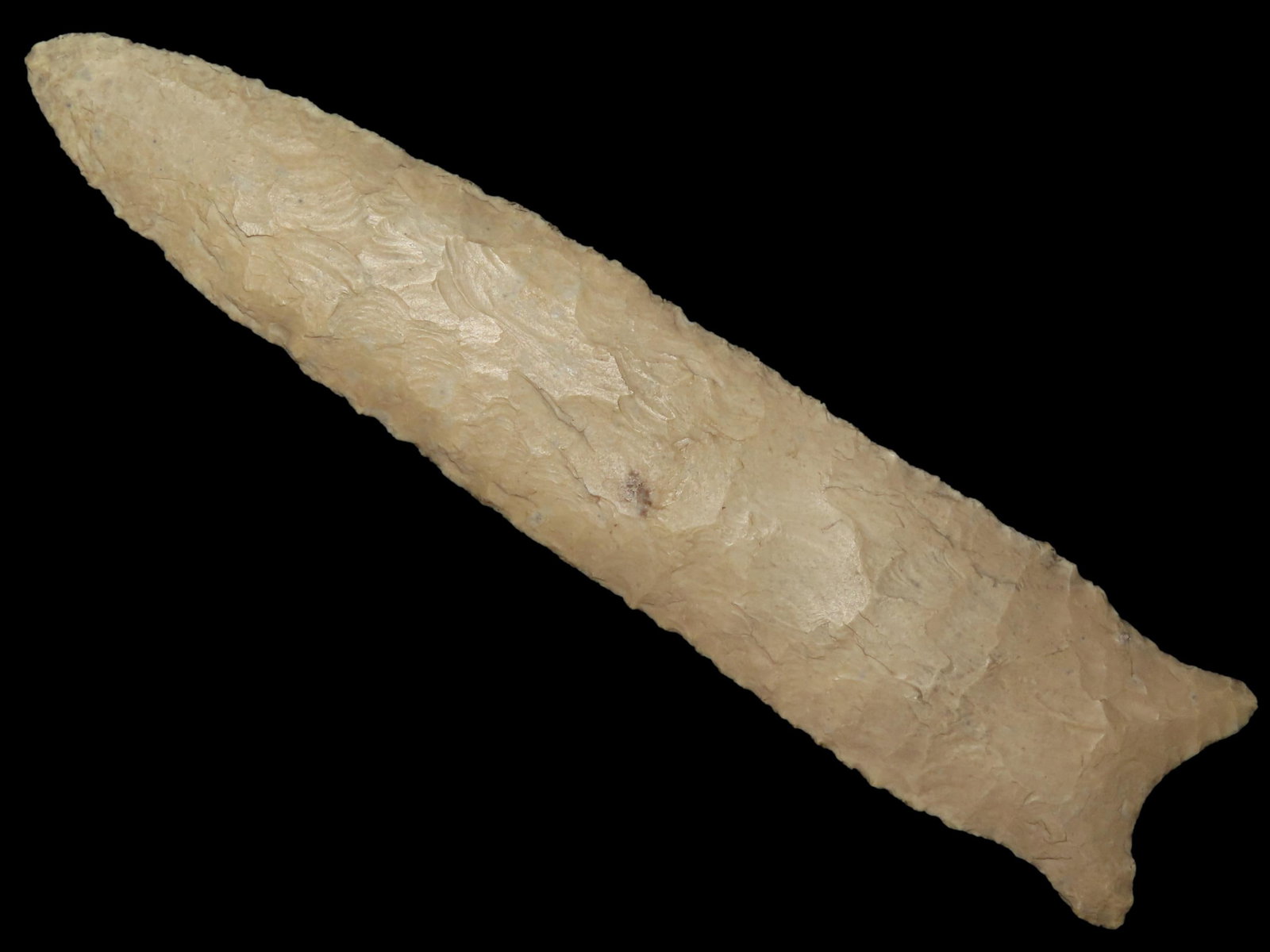 6 1/4" x 1 3/8" Dalton, Burlington Chert, Illinois, Dickey COA, Motley / Leithoff COA (1 of 19)
