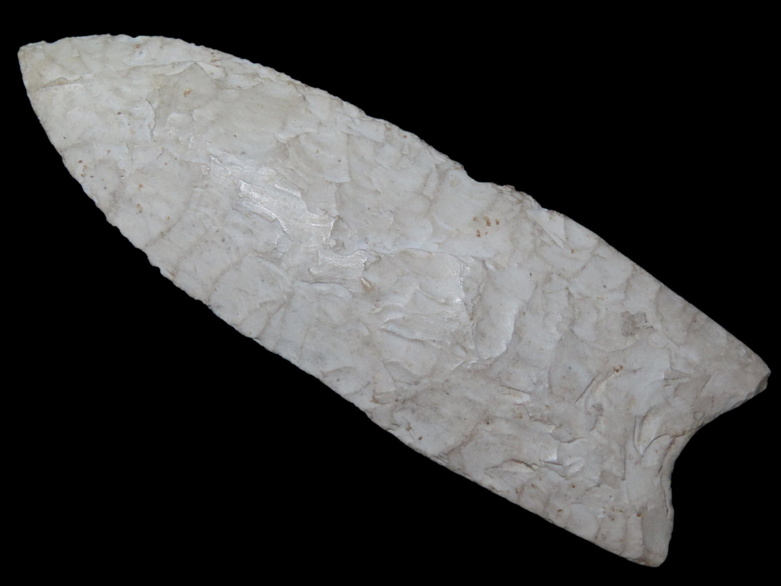 2 15/16" x 1" Upper Valley Dalton, Burlington Chert, Northern Illinois or Wisconsin, Dickey COA (1 of 14)