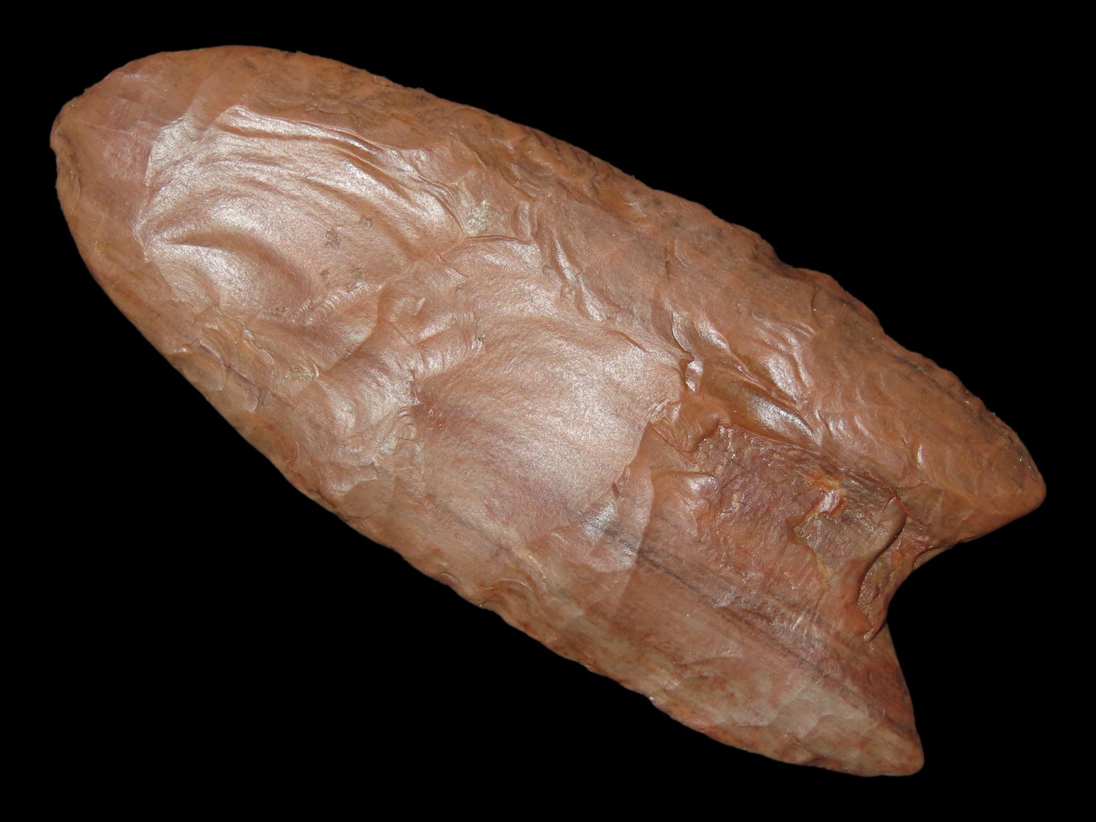 2 5/8" x 1 1/4" Clovis, Petrified Wood, Alaska, Motley & Leithoff COA (1 of 11)