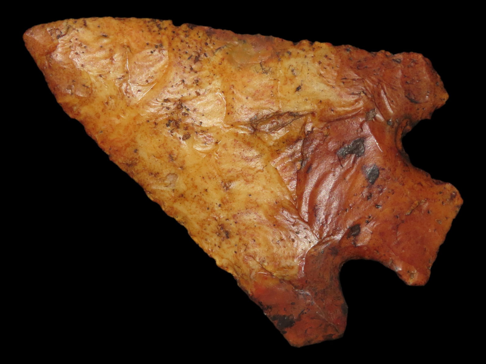 3 1/16" x 2 1/8" Clay, River Stained Coastal Chert, Florida, Motley & Leithoff COA (1 of 13)