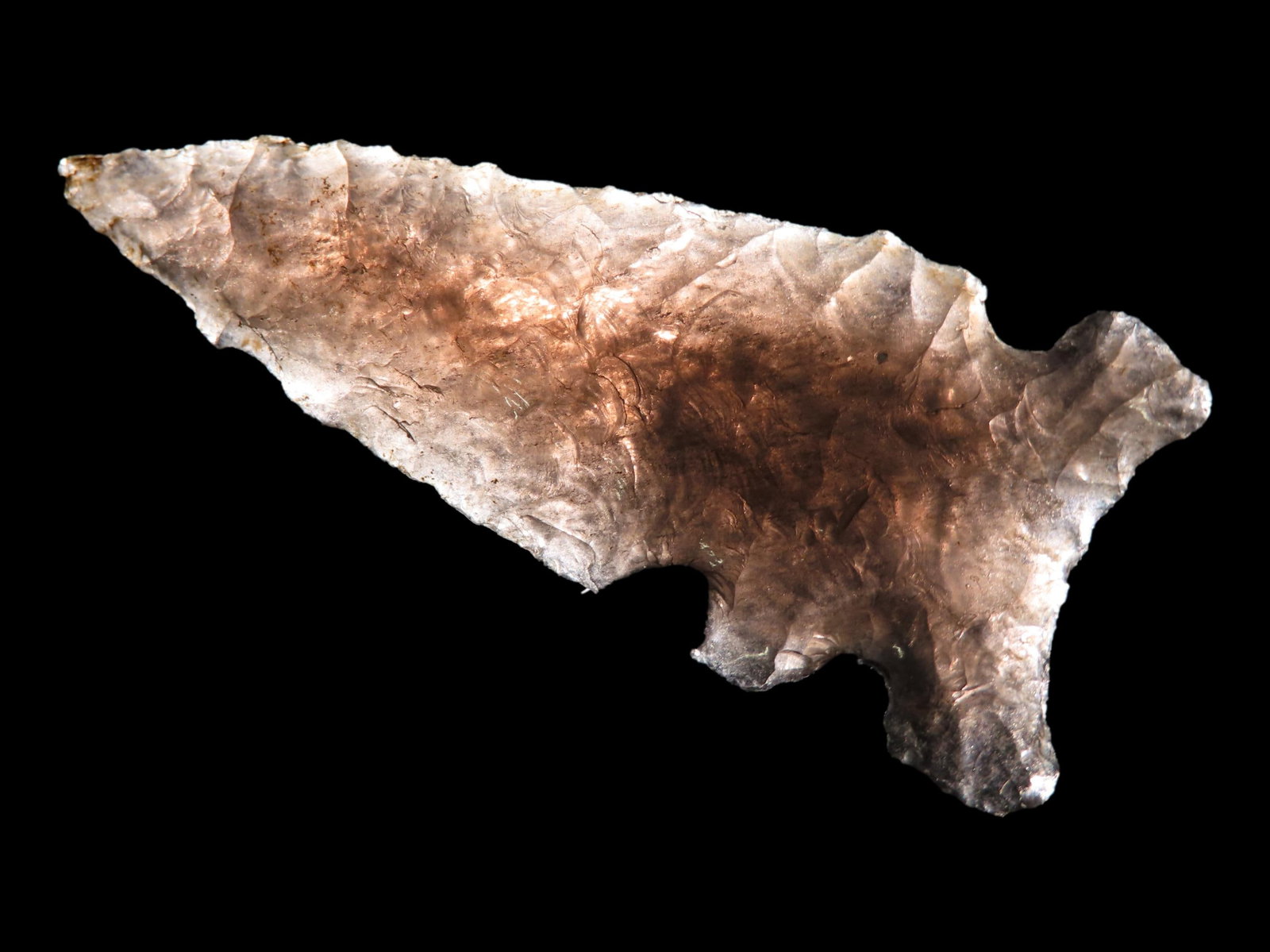 2 1/8" x 15/16" Northern Side Notched, Obsidian, Warner Valley, Oregon, Dickey COA (1 of 14)
