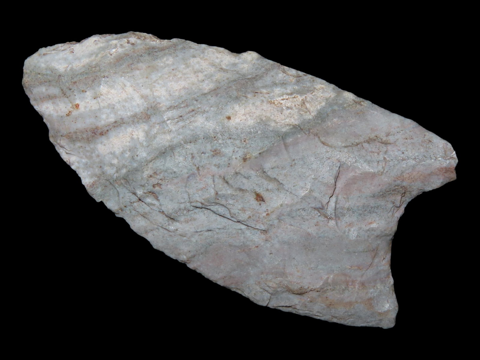 2 1/4" x 1 1/8" Clovis, Attica Chert, Champaign Co., Illinois, Motley & Leithoff COA: 2 1/4" x 1 1/8" Clovis, Attica Chert, Champaign Co., Illinois, Motley & Leithoff COA