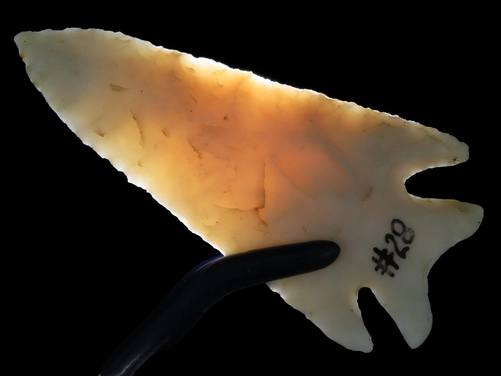 2 15/16" x 1 3/8" Kampsville Barbed Swallowtail, Burlington Chert, Illinois/Missouri, Dickey COA, (1 of 12)
