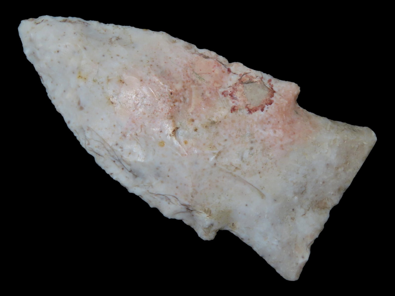 2 3/4" x 1 5/16" Steuben, Burlington Chert, Milan, Missouri, Keele COA (1 of 13)