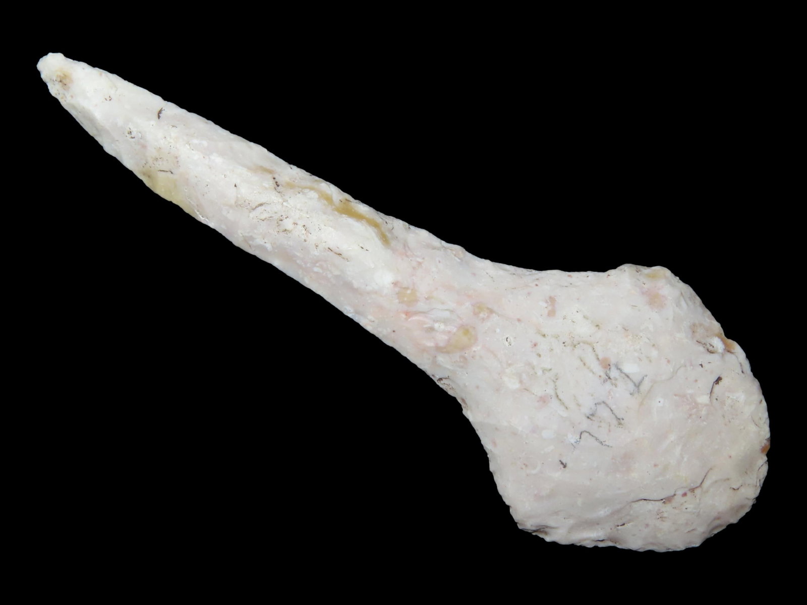 3 7/16" x 1 1/4" Paddle Drill, Burlington Chert, Illinois, Motley & Leithoff COA (1 of 13)