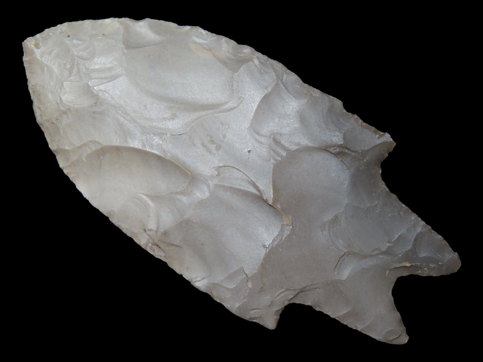 3 7/8" x 2 15/16" Pedernales, Edwards Plateau Chert, Central Texas, Dickey COA (1 of 14)
