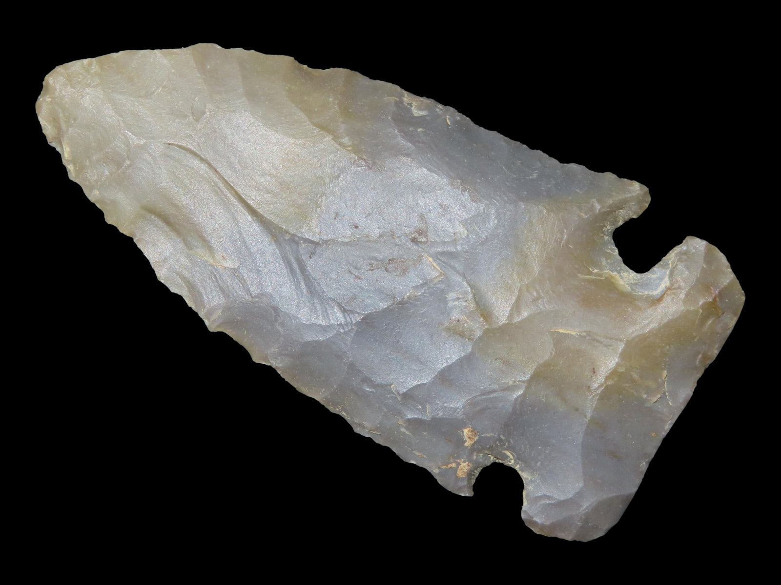 2 3/8" x 1 3/16" Side Notch, St. Louis Chert, Kentucky, Dickey COA (1 of 18)