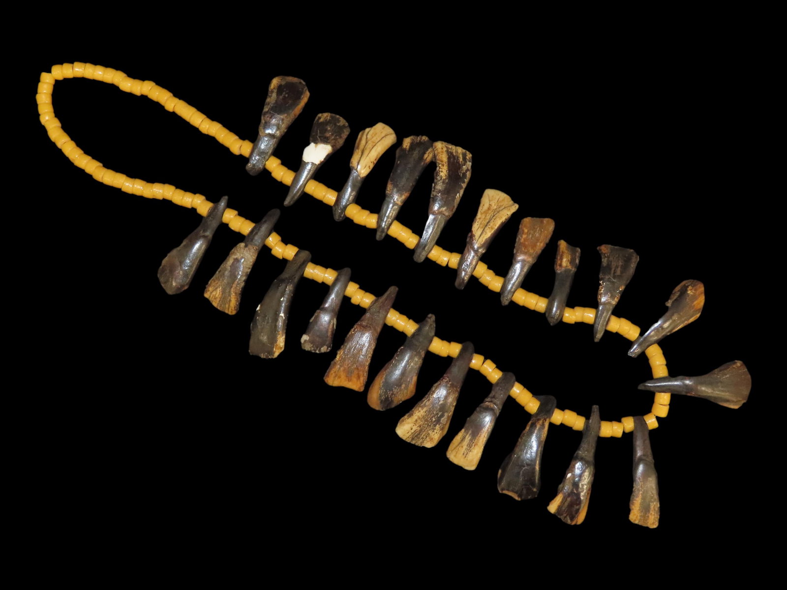 Buffalo Tooth and Trade Bead Necklace (1 of 7)